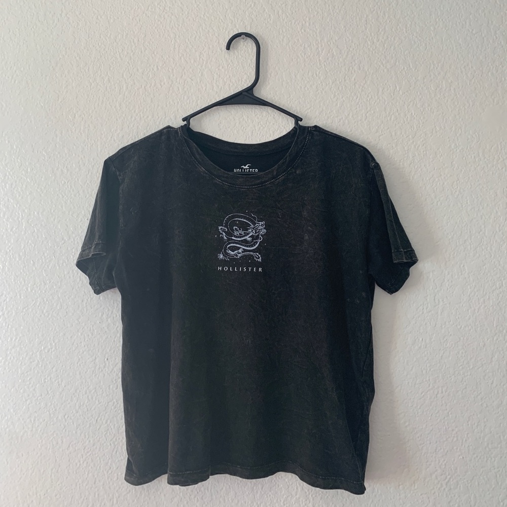 Hollister-T